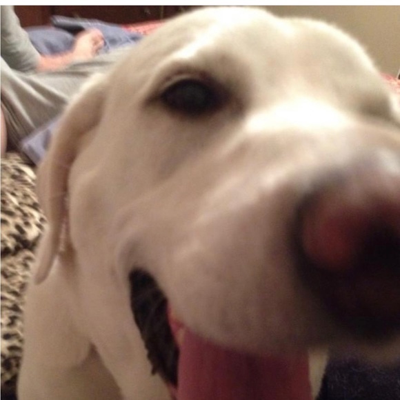 Meet your Posher, Debbie - Picture 1 of 1